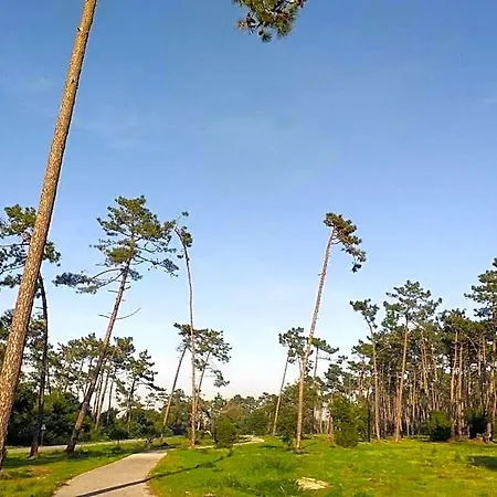 Ξενοδοχείο Greenside Of Sea Praia de Mira