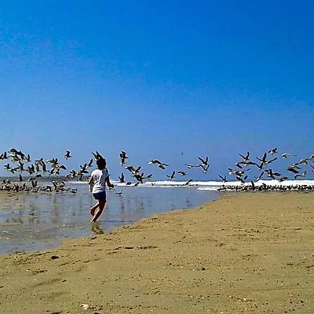 Greenside Of Sea