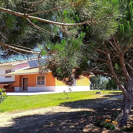 Ξενοδοχείο Greenside Of Sea