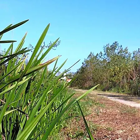 Greenside Of Sea Praia de Mira